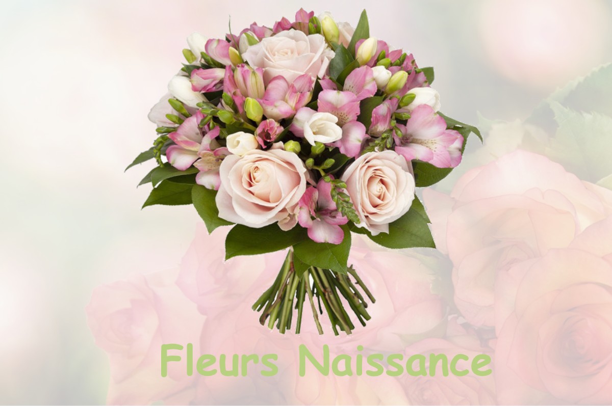 fleurs naissance LESCUNS