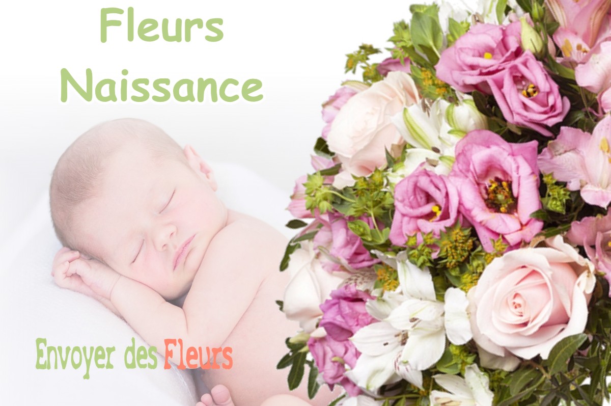 lIVRAISON FLEURS NAISSANCE à LESCUNS