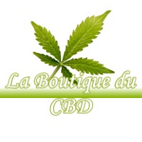 LA BOUTIQUE DU CBD LESCUNS 